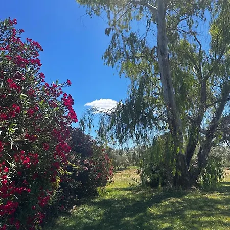 Domaine De L'aumone Agde