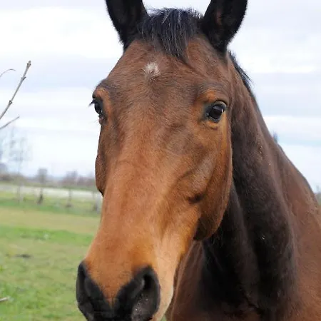 Domaine De L'aumone Apartment *