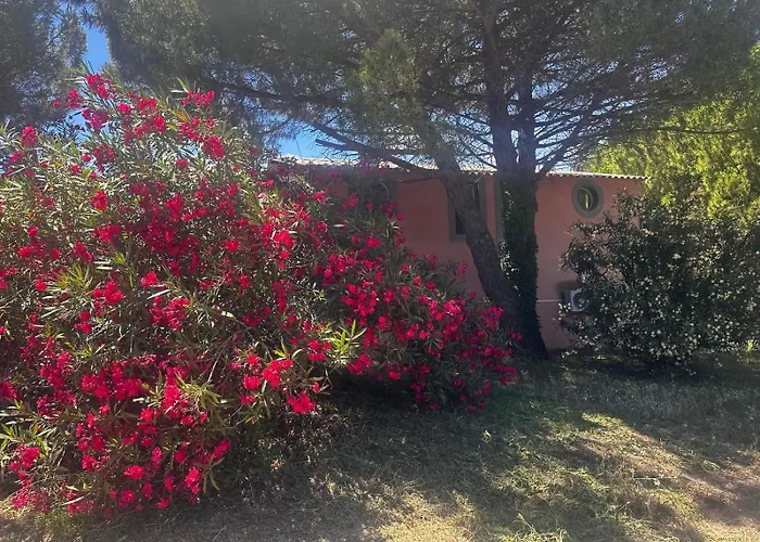 Domaine De L'aumone *