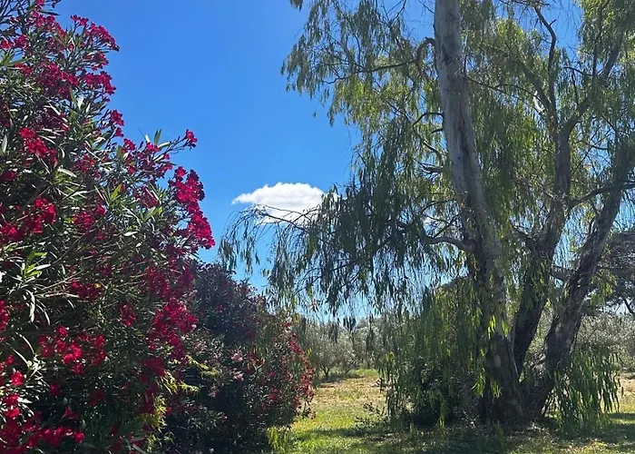 Domaine De L'aumone Agde