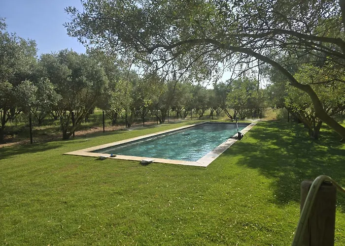 Domaine De L'aumone *