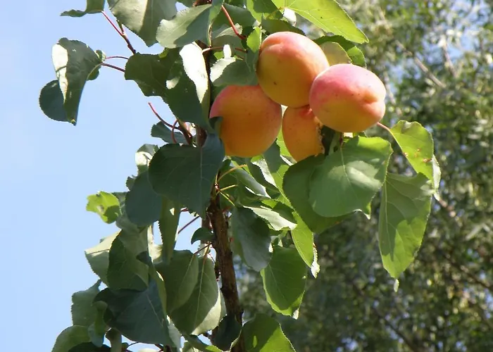 Appartamento Domaine De L'aumone Agde